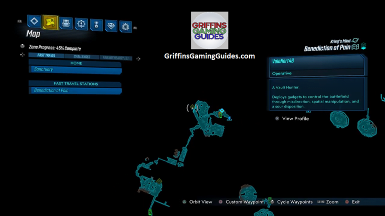 Borderlands 3 Benediction of Pain Image 1