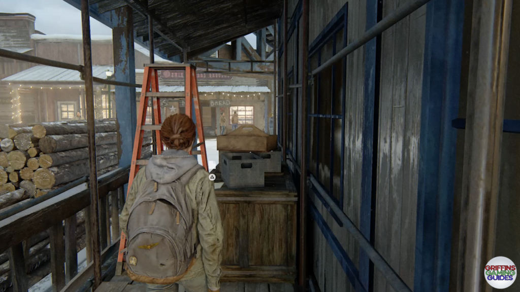 The Last Of Us Part 2 Archivist Artefact 1