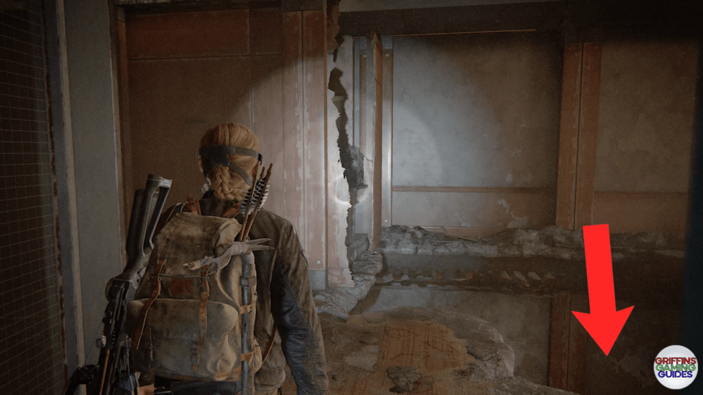 The Last Of Us Part 2 Archivist Artefact 111 Location