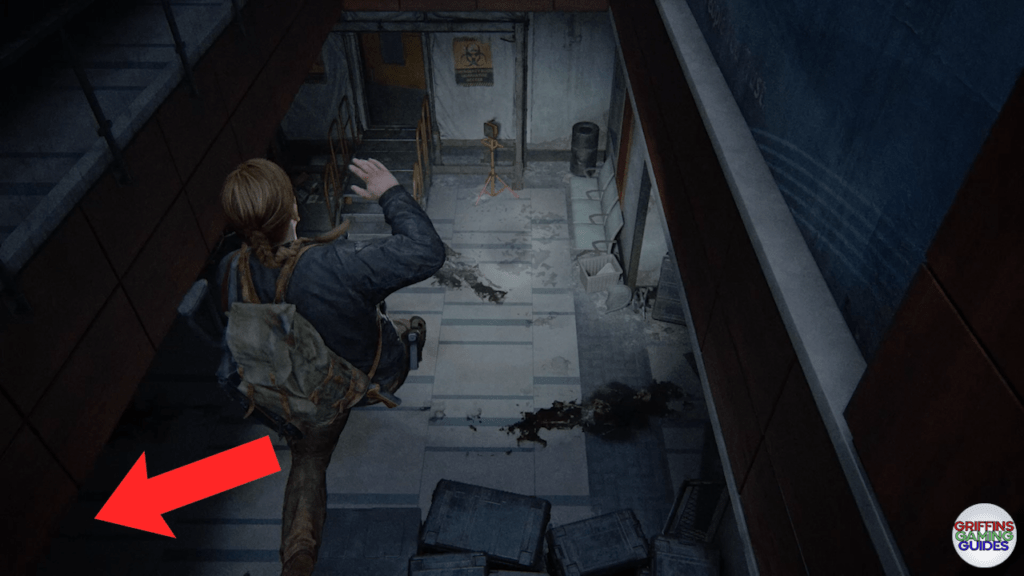 The Last Of Us Part 2 Archivist Artefact 113 Location