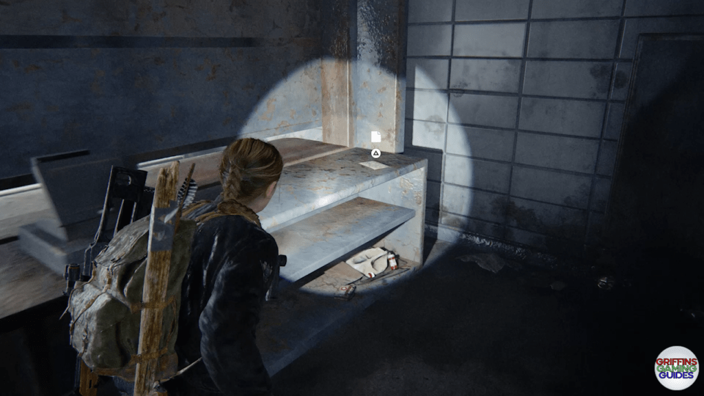 The Last Of Us Part 2 Archivist Artefact 117