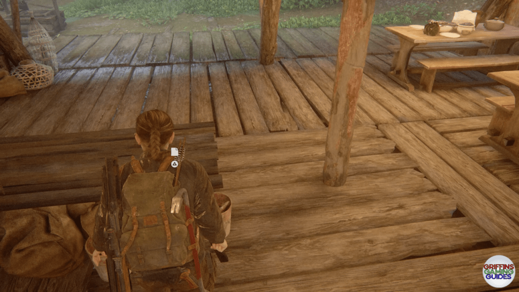 The Last Of Us Part 2 Archivist Artefact 119