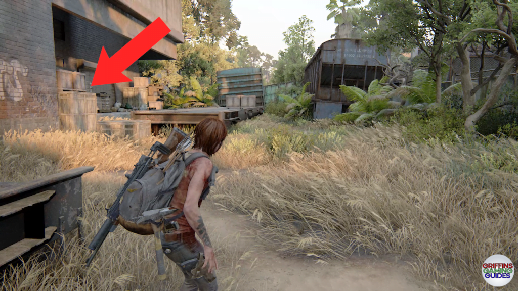 The Last Of Us Part 2 Archivist Artefact 126 Location