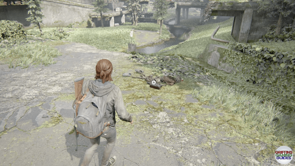 The Last Of Us Part 2 Archivist Artefact 17