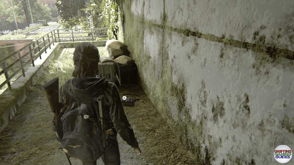 The Last Of Us Part 2 Archivist Artefact 26