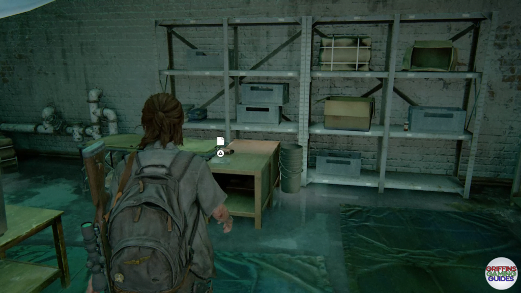 The Last Of Us Part 2 Archivist Artefact 55