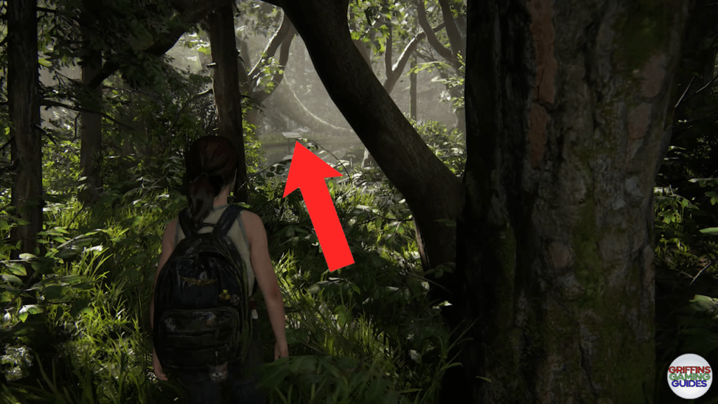 TLOUP2 Archivist Journal Entry 9 Location