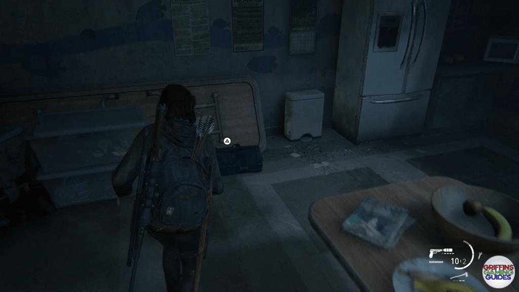 The Last Of Us Part II Archivist Journal XVIII