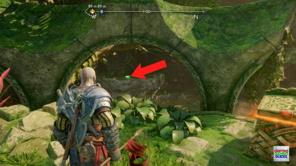 God Of War Ragnarök Odin's Raven 25