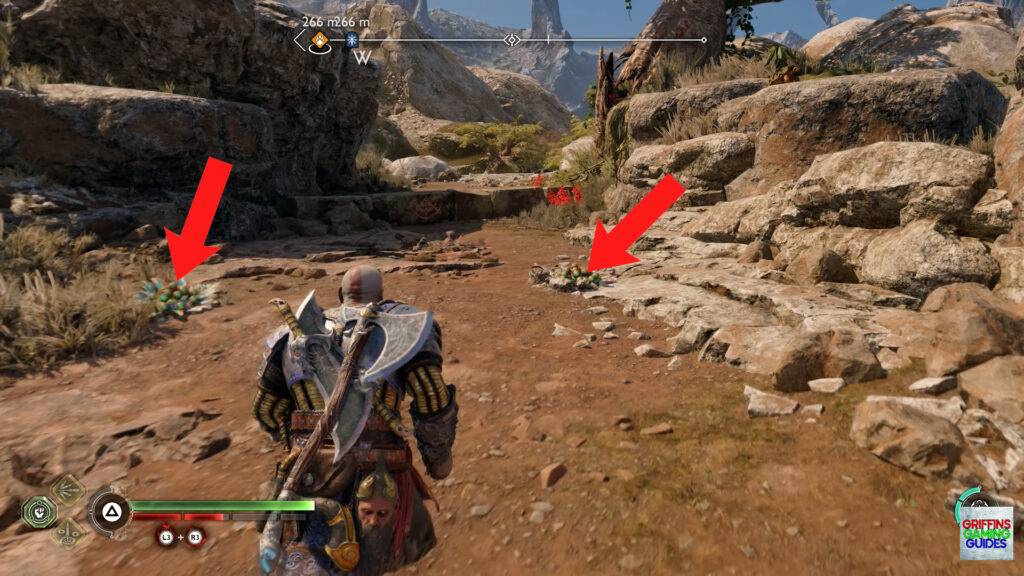 God Of War Ragnarök Legendary Chest 56 Clear Poison Pods