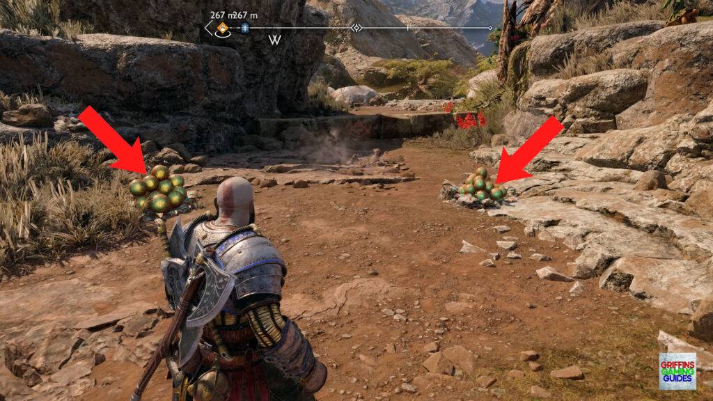 God Of War Ragnarök Lindwyrm 6 Clear Poison Pods