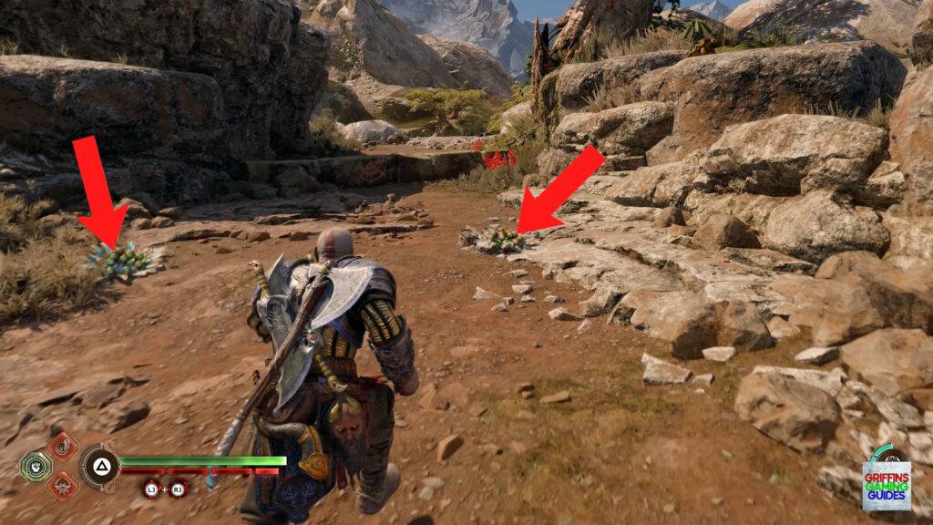 God Of War Ragnarok The Librarian Kvasir's Poem 12 Clear Poison Pods