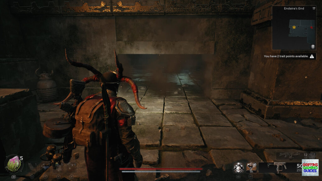 Remnant 2 Pulsing Heart Relic Go Through Wall