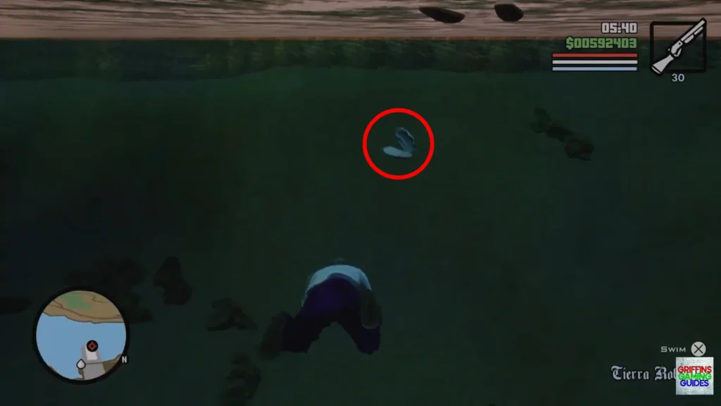 Grand Theft Auto San Andreas Oysters Oyster 37