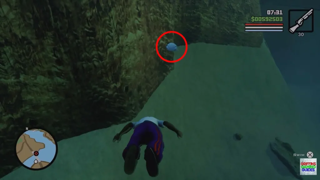 Grand Theft Auto San Andreas Oysters Oyster 38