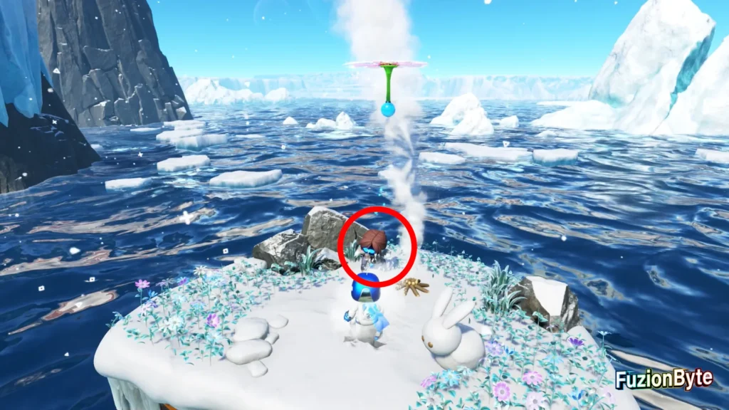 Astro Bot Feather Cluster Frozen Meal Bot 1, Gifted Soul